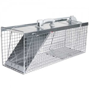 Raccoon Trap | Buy Racoon Trap Toronto